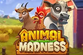 Animal Madness